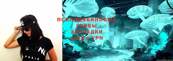 apvp Алексин