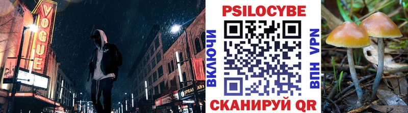 Псилоцибиновые грибы Cubensis  omg как зайти  Артём 